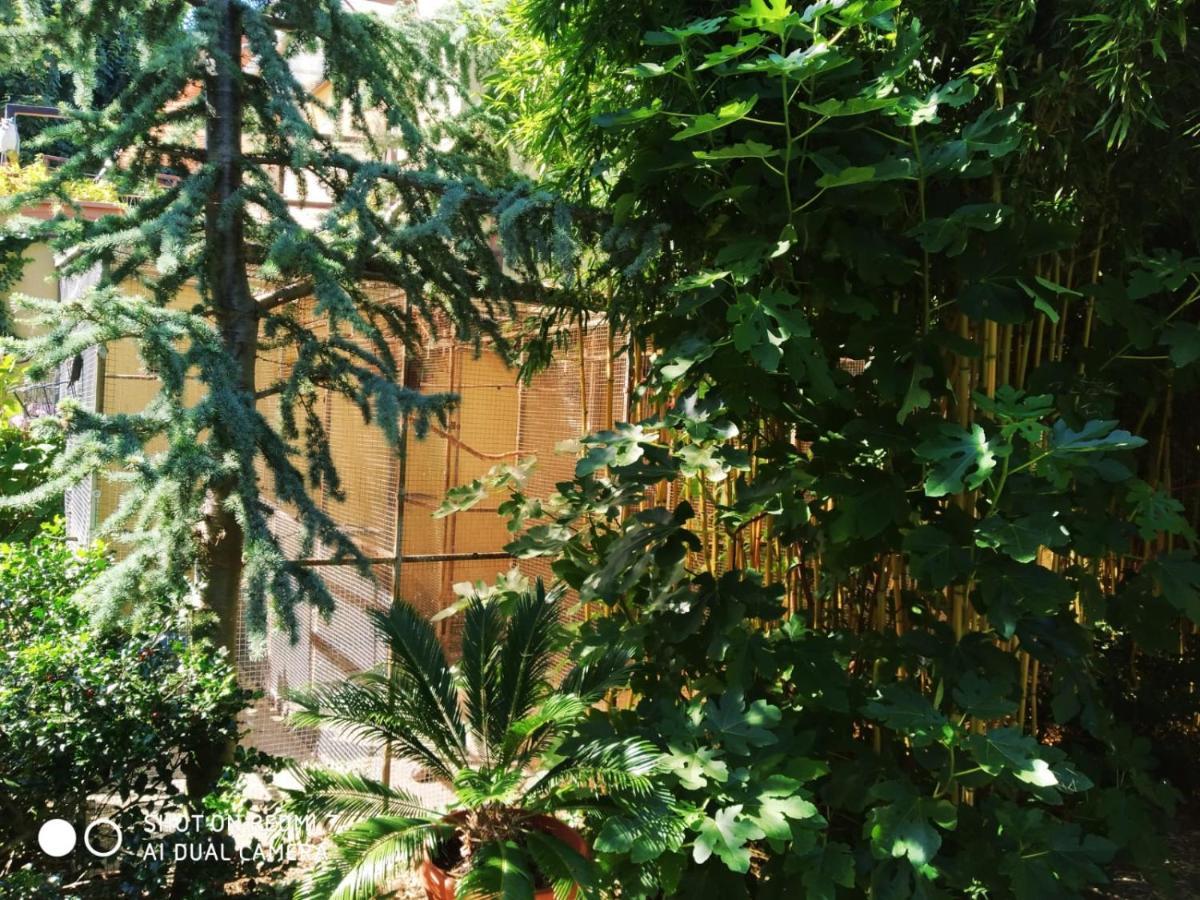 Apartmán Lora Leba Exteriér fotografie